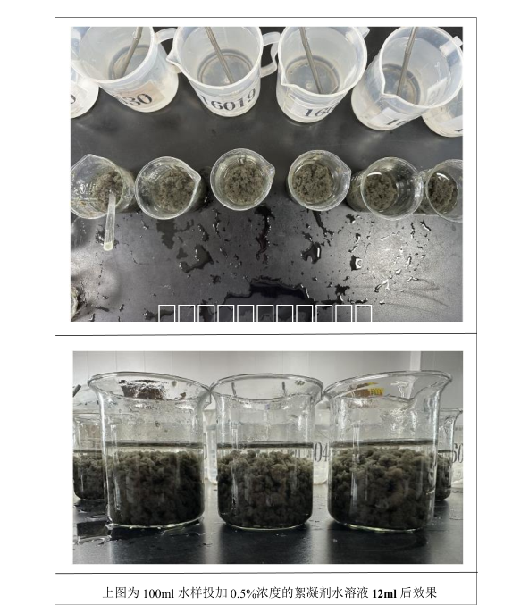 SV-1905聚丙烯酰胺(PAM) SV-1905聚丙烯酰胺(PAM)